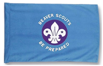 Beaver Scouts Flag
